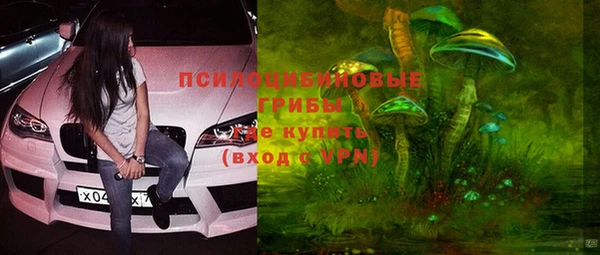 стаф Медногорск