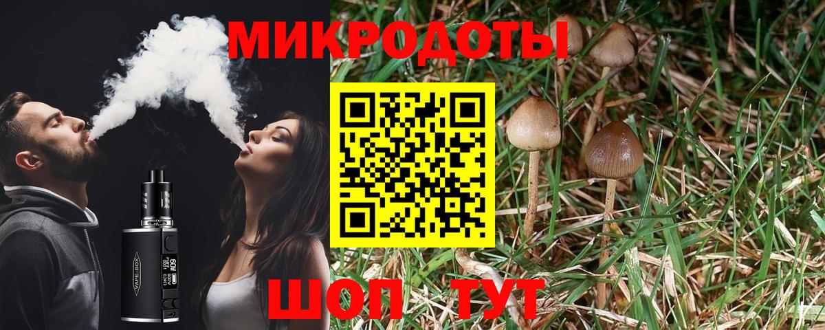 Галлюциногенные грибы Psilocybe  Псилоцибиновые грибы Psilocybe  Учалы 